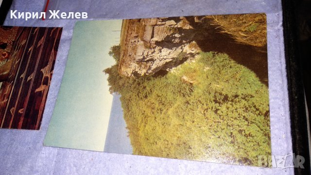 ЛОТ 4 РЕДКИ СТАРИ ПОЩЕНСКИ КАРТИЧКИ ТЕМА ДИВА ПРИРОДА ФЛОРА ПАМЕТНИК СССР 33417, снимка 3 - Филателия - 38790415