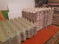 Кутийки от сирене, кори от яйца, снимка 5
