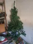 Коледна елха 169 см., снимка 1
