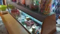 Хладилна витрина , снимка 2