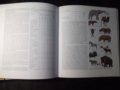 Книга "Die Tierwelt der Erde - U. Sedlag" - 200 стр., снимка 6