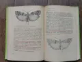 Карантина на растенията-Земиздат 1974г., снимка 10