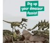 Образователна игра - Разкопки на фосили 4 в 1, снимка 4