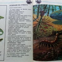 Палеонтология в картинки - И.Яковлева - 1984г. , снимка 6 - Детски книжки - 38938213