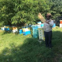 Домашен пчелен мед, снимка 3 - Пчелни продукти - 41658661