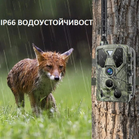 4К ловна камера Suntek HC-812Pro 4G LTE с Live Video & APP наживо /LK056/, снимка 5 - Камери - 44512666