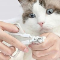 Ножичка за нокти за коте/куче, снимка 4 - За котки - 35814215