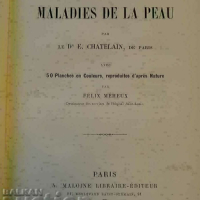 Медицинска Енциклопедия, Париж, 1893, снимка 2 - Енциклопедии, справочници - 44679210