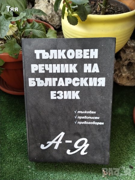 Тълковен речник , снимка 1