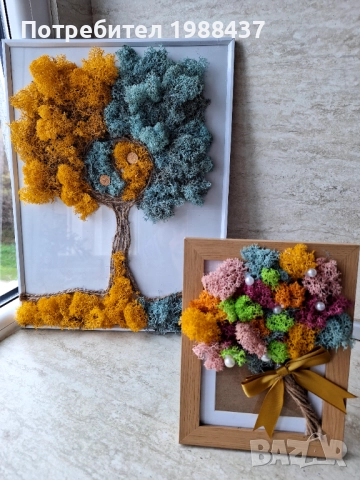 Картини от скандинавски мъх