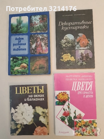 Декоративные кустарники - В. Г. Антипов, Э. В. Ваверова