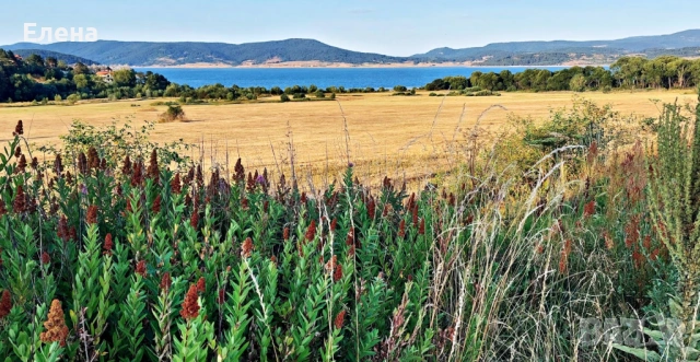 Ливада Цигов чарк гр. Батак, снимка 5 - Земеделска земя - 53331603