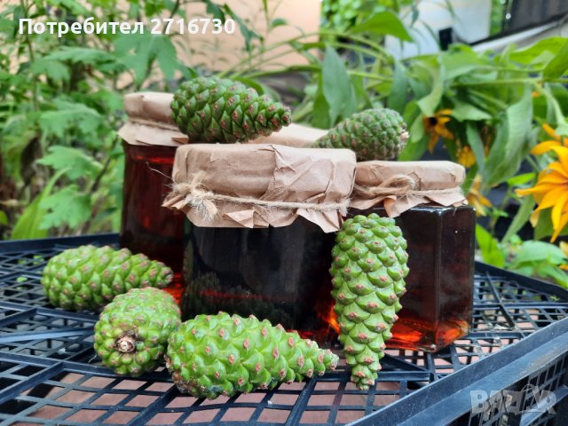 Боров мед от борови връхчета и шишарки, снимка 4 - Домашни продукти - 39312356