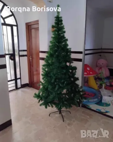 Коледно дърво 