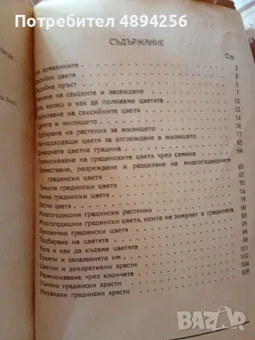 Цветя за жилището Жена Папазова Антонова, снимка 4 - Художествена литература - 55835231