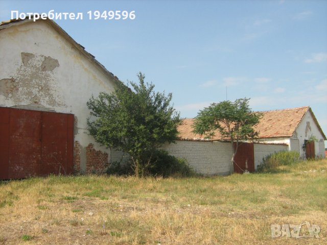Стопански сгради 1200м2, снимка 4 - Производствени сгради - 39167051