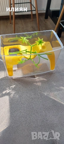 Аквариуми Hailea 2л,нагревател 8w, снимка 10 - Аквариуми - 52975808