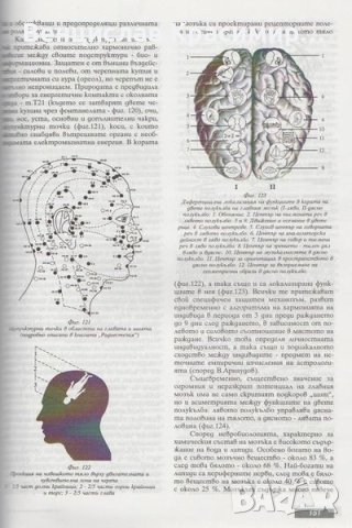 Мария Мандаджиева - АЛТЕРНАТИВНА МЕДИЦИНА ЗА ВСЕКИ, снимка 5 - Специализирана литература - 40252611