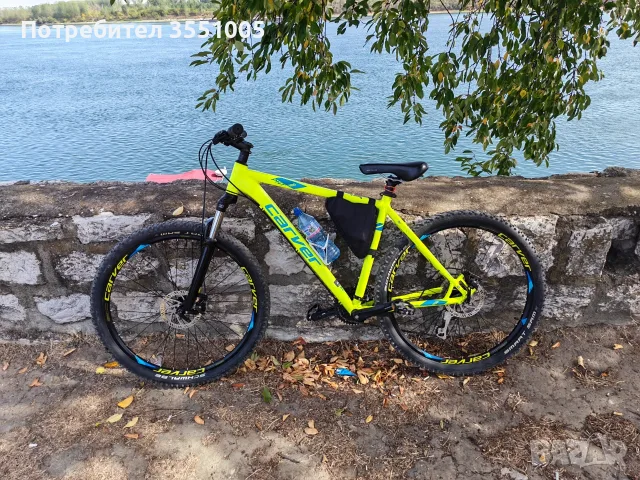 Carver 28" Електриков цвят