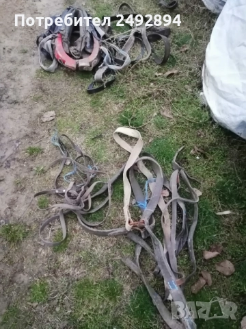 Конски хамут , снимка 5 - Други животни - 52506534