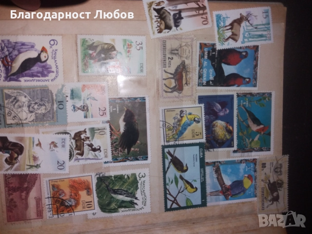 Античен класьор с няколко колекции стари марки, снимка 3 - Филателия - 52427543