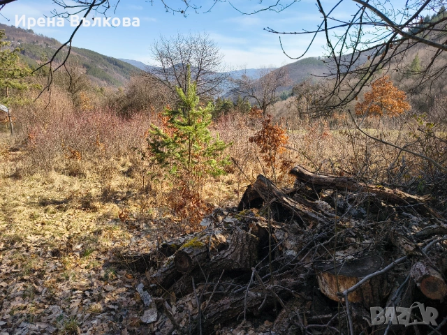 ПРОДАВА СЕ: Панорамен парцел в регулация – в.з. "Герова леска", с. Свидня, снимка 6 - Парцели - 53683788