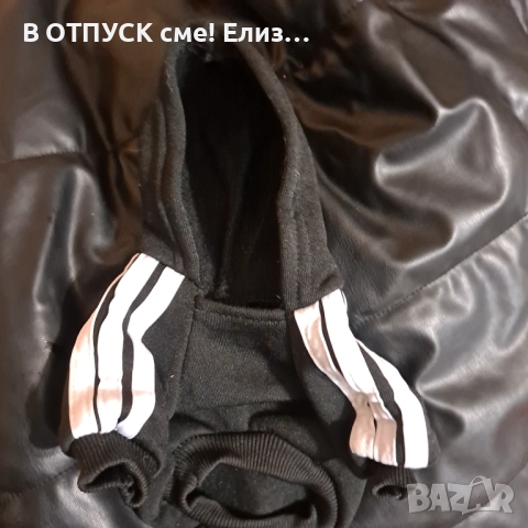 Adidog adidas дрешки за кученце пинчер.мини