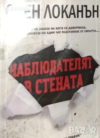 Оуен Локанън - Наблюдателят в стената (2017)
