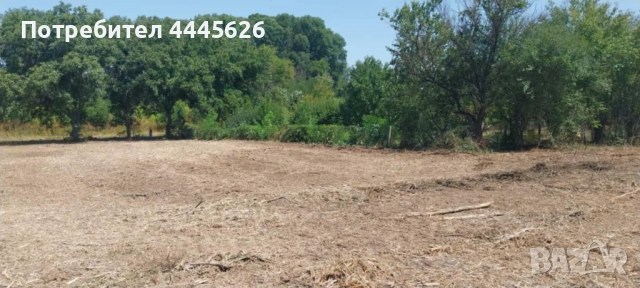 Собственик продава УПИ в с. Ряхово - до р. Дунав, снимка 3 - Парцели - 51675335