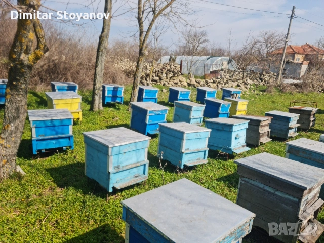 Продавам пчелни кошери Дадан-Блат 12 рамкови, снимка 5 - За пчели - 53711997