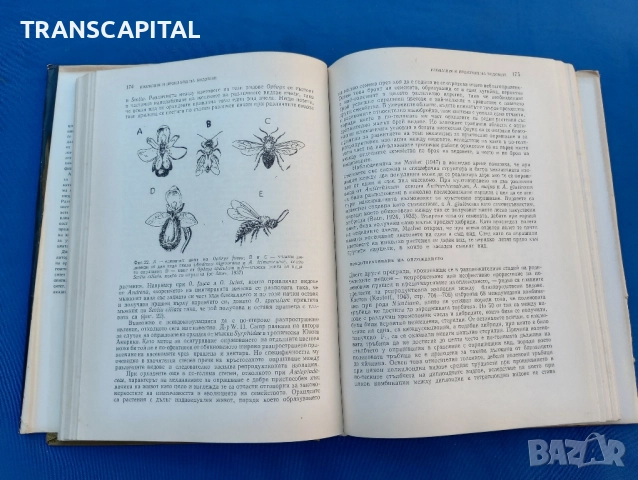 Изменчивост и еволюция на растенията , снимка 4 - Специализирана литература - 51794363