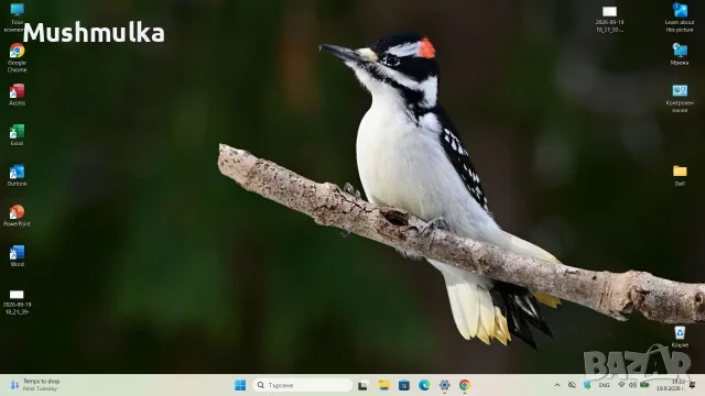 Продава се преносим компютър Dell Vostro 5490 /i5 модел 10210U/ 12GB RAM / 238 GB SSD / Win 11, снимка 15 - Лаптопи за работа - 56143803