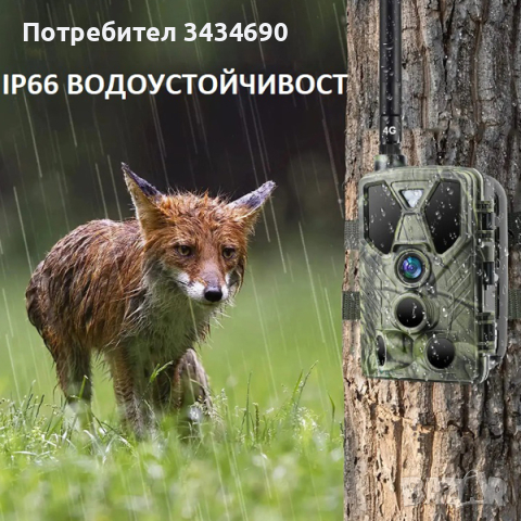 4К ловна камера Suntek HC-812Pro 4G LTE с Live Video & APP наживо /LK056/, снимка 5 - Камери - 44512666