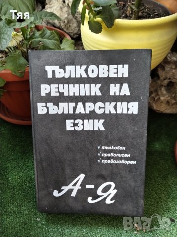 Тълковен речник 