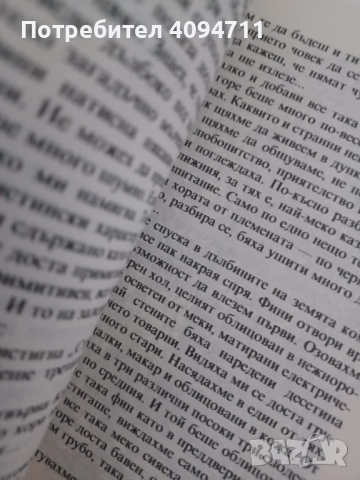 Гибелта на Аякс,Обстоятелства около смърта на господин N, снимка 4 - Художествена литература - 52494446