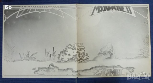грамофонни плочи Camel - Moon Madness' 1976, снимка 5 - Грамофонни плочи - 42435209
