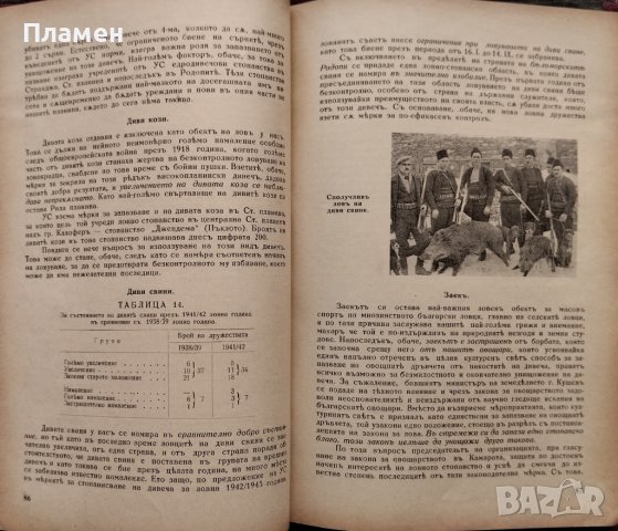 Отчетъ за дейностьта на българската ловнострелческа организация "Соколъ" презъ ловните 1939-1942г., снимка 5 - Антикварни и старинни предмети - 40665208
