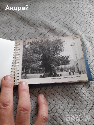 Стар албум,снимки ГОНС Сливен, снимка 4 - Други ценни предмети - 44449604
