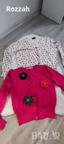 Жилетки и блузи в различни цветове , снимка 2 - Блузи с дълъг ръкав и пуловери - 44307489