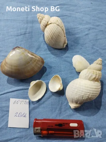 Океански дарове.