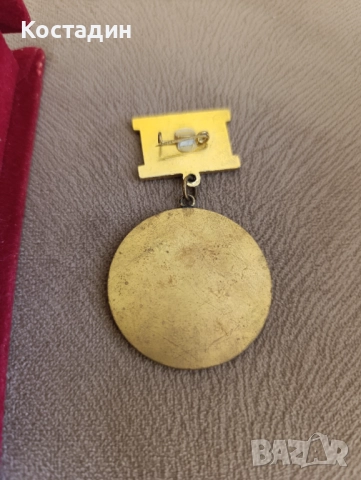 Ленинска трудова вахта-"Варна-Одеса"медал и плакет, снимка 5 - Антикварни и старинни предмети - 37328249