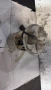 Горивна помпа за Fiat Punto - 0580314137, снимка 1