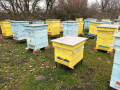 Продавам пчелни семейства с многокорпусен кошери, снимка 10