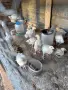Продавам пилета, снимка 1