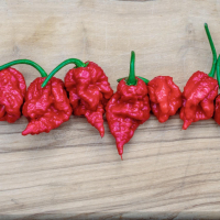 Люти чушки - Carolina Reaper - Каролина Рийпър - Най - лютите чушки, снимка 1 - Домашни продукти - 44778541