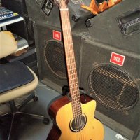 Hofner 5str.acoustic bass, снимка 11 - Китари - 42310316