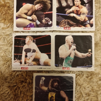 Мини уникални плакати на Първична сила WWE - Разбиване - Кеч
, снимка 4 - Нумизматика и бонистика - 44701040