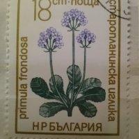 Български пощенски марки с растения, снимка 2 - Филателия - 40755450