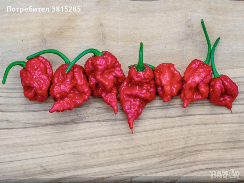 Люти чушки - Carolina Reaper - Каролина Рийпър - Най - лютите чушки, снимка 1
