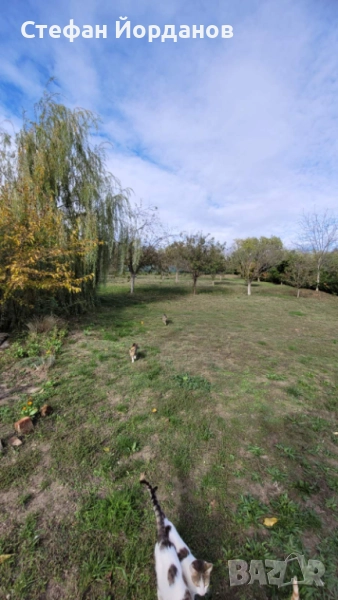 Парцел, снимка 1